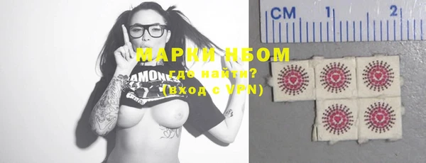стафф Верхний Тагил