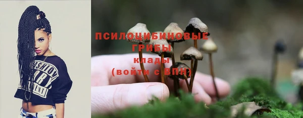 винт Бугульма