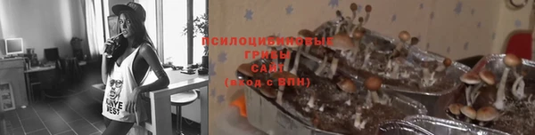 винт Бугульма