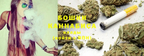спиды Бородино