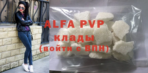 спиды Бородино