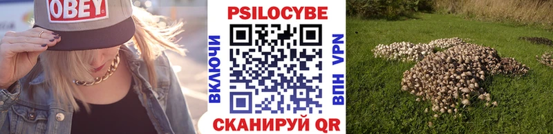 купить   Пойковский  Галлюциногенные грибы прущие грибы 